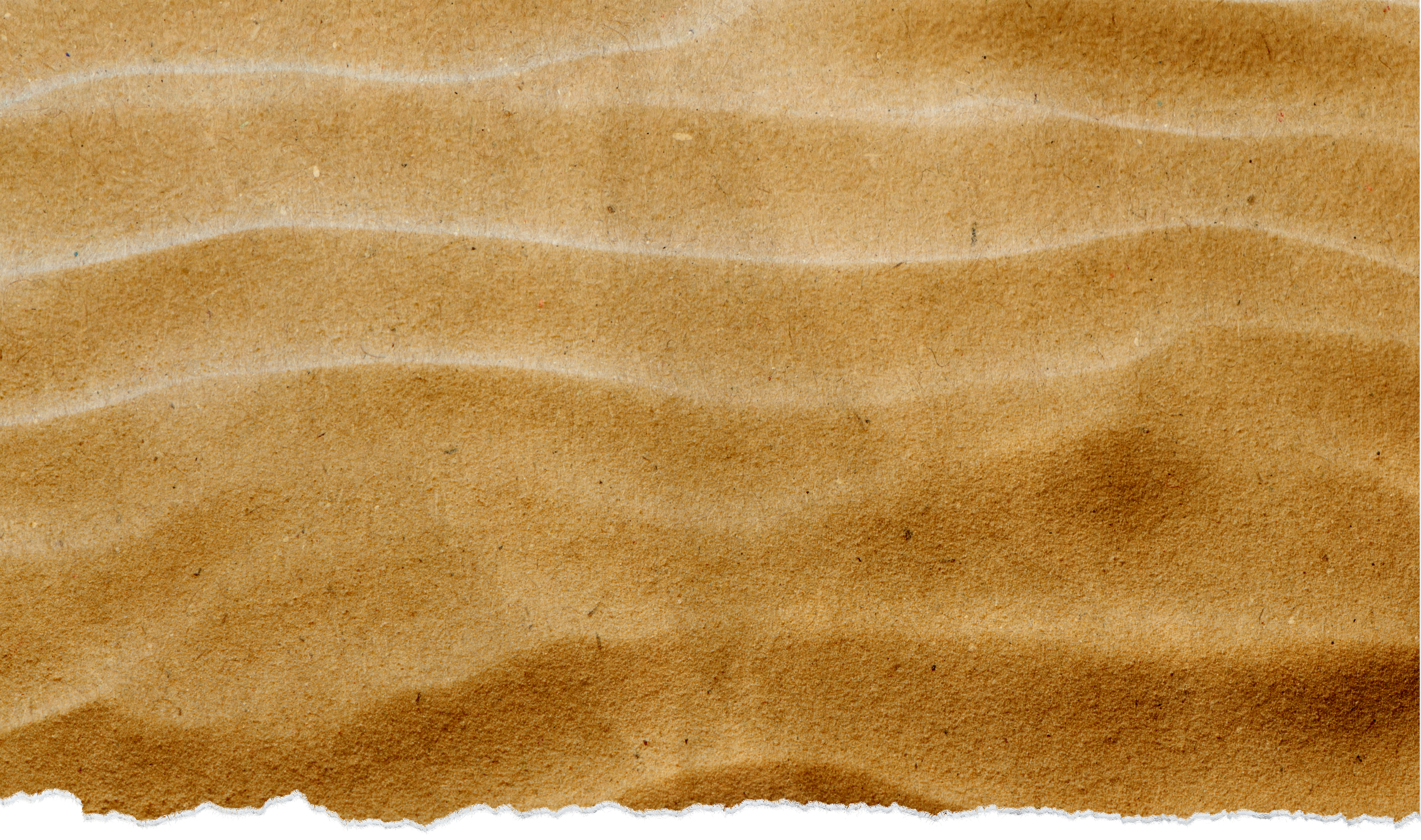 Second torn paper layer